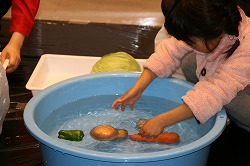 科学つめあわせ便⑥～植物の科学～2