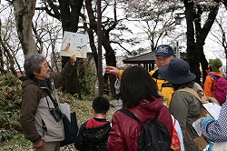 科学つめあわせ便①　春の野鳥観察